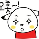 보쉬카랜드 이미지