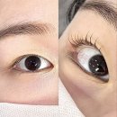 아남공인중개사사무소 이미지