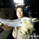 금갈치은고등어 이미지