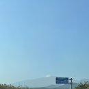 차반점