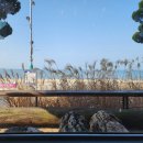 파도소리카페 이미지