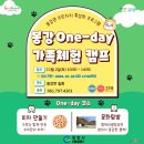 봉강 신룡리 형제 의병장 묘역 및 쌍의사 | 아이들과 함께한 봉강 One day 가족체험 캠프 #봉강가족체험캠프