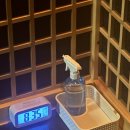 아하데이스파토르마린저온찜질
