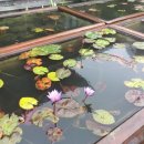 힐게임랜드 이미지