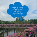 덕명아일랜드 | 미용사 된 이지현, 고객 만족 100% 후기 쏟아진다. &#34;신기한 달란트&#34;[출처. OSEN]