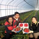 생태공원농장 이미지