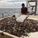 다모아마트 이미지