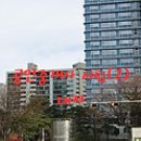 인간의 대지-터 이미지