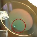 안경뱅크 이미지