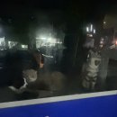 풍년당구장 이미지