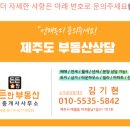 애월한옥 민박 이미지