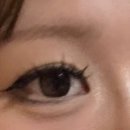 이오티디(EOTD)