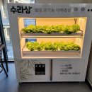 수라상한식부페 시선뉴스