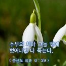 증산도 진리맥과 개벽 실제상황에서의 생존_전염병, 전쟁, 지축정립 이미지