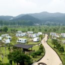 파라다이스스파도고캠핑장 이미지