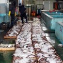 수협바다식당 이미지