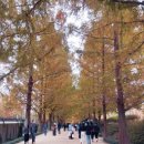 프로방스 | 전남 담양군 메타프로방스 후기 흐린 날씨에도 감성 뿜뿜 가족여행