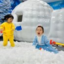 아이캐슬어린이집차량1 이미지