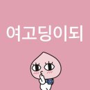 기막힌밥상 | 25.05.09 포에버영 첫 콘 💗 + 후기, 덕질일기