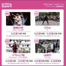 2024 경주 대릉원돌담길 벚꽃축제 이미지