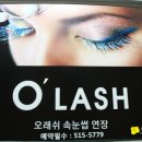 오래쉬(O’LASH) 이미지