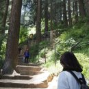 둥구리마을 이미지