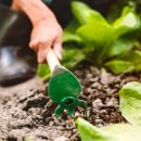 함영진농장 이미지