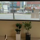 전주종합경기장(지체장애인협회) | 전주 덕진동 브런치 카페 전북대 근처에 있는 동네 샐러드 가게 우뜨 솔직후기 !