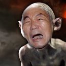 안씨고집 이미지