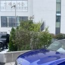 청담 드레스가든 블리스돔홀 하객 솔직 후기 (+ 주차, 코스요리)