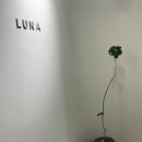 루나산부인과의원 이미지