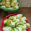 가래울농장 이미지