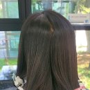 고고헤어샵 - 안산시 상록구 | 고고헤어샵