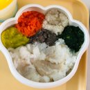 굿슈베 | 토핑이유식 시판냉동큐브 슈베가든 배마마 장단점 비교 현재는 직접 만들어 먹이는중