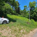 도리1길 이미지