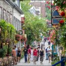 쁘띠(Petit) 이미지