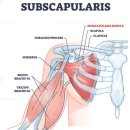 김재범한의원 이미지