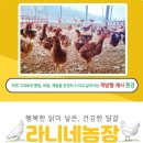 삼닭농장 이미지