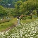 서구청소년수련관 주차장 이미지