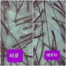 숲칼프남양주;퇴계원역점