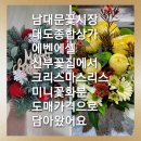 [남대문꽃시장] 크리스마스 리스 .미니꽃화분도매가격으로 담아 오세요