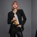 시바스 이미지