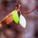 마곡자연숲어린이집 | 서울 강서구 마곡서울식물원 숲체험! 어린이 봄 나들이로 딱인 자연 체험 학습 후기