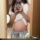 뿡빵뿡 | 임신 중기 일상 기록