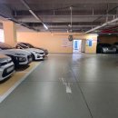 하이케이크(HI CAKE) | 광주 떡케이크 추천 특별함 가득한 하이설기 숫자케이크