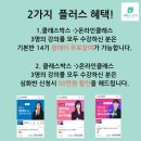 설렘영어 이미지