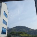 양평쭈꾸미 이미지