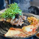 술마실고양 이미지