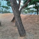 포승작은도서관 이미지