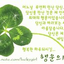 은빛파도 이미지